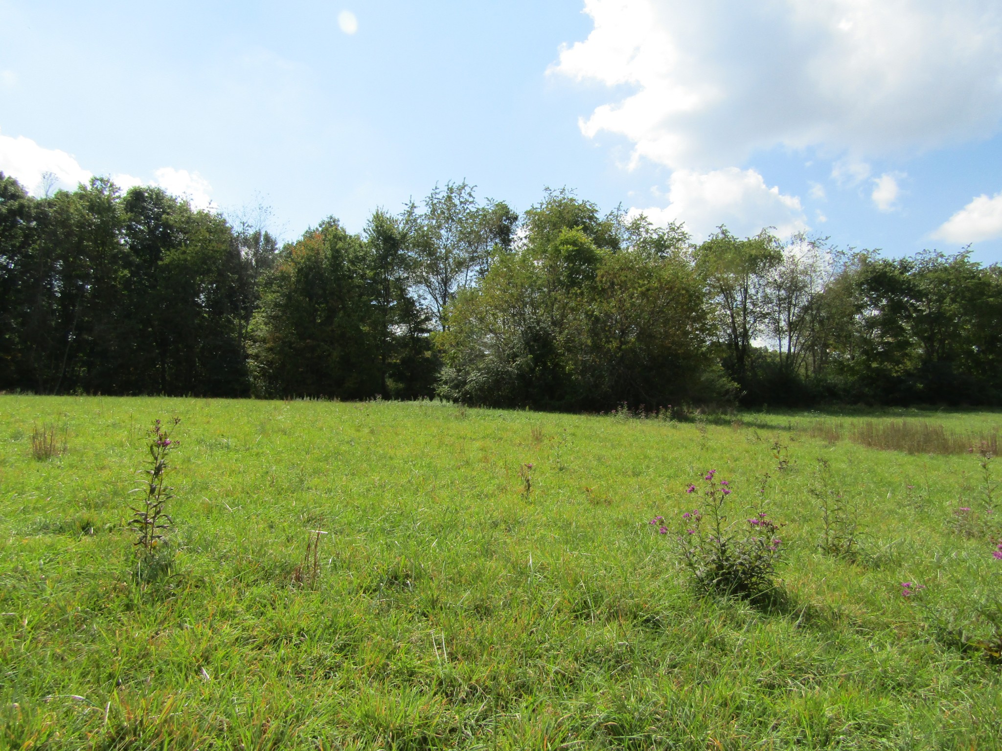 3 9 Hack Beaty Road Grimsley, TN 38565 - Photo 13 of 29