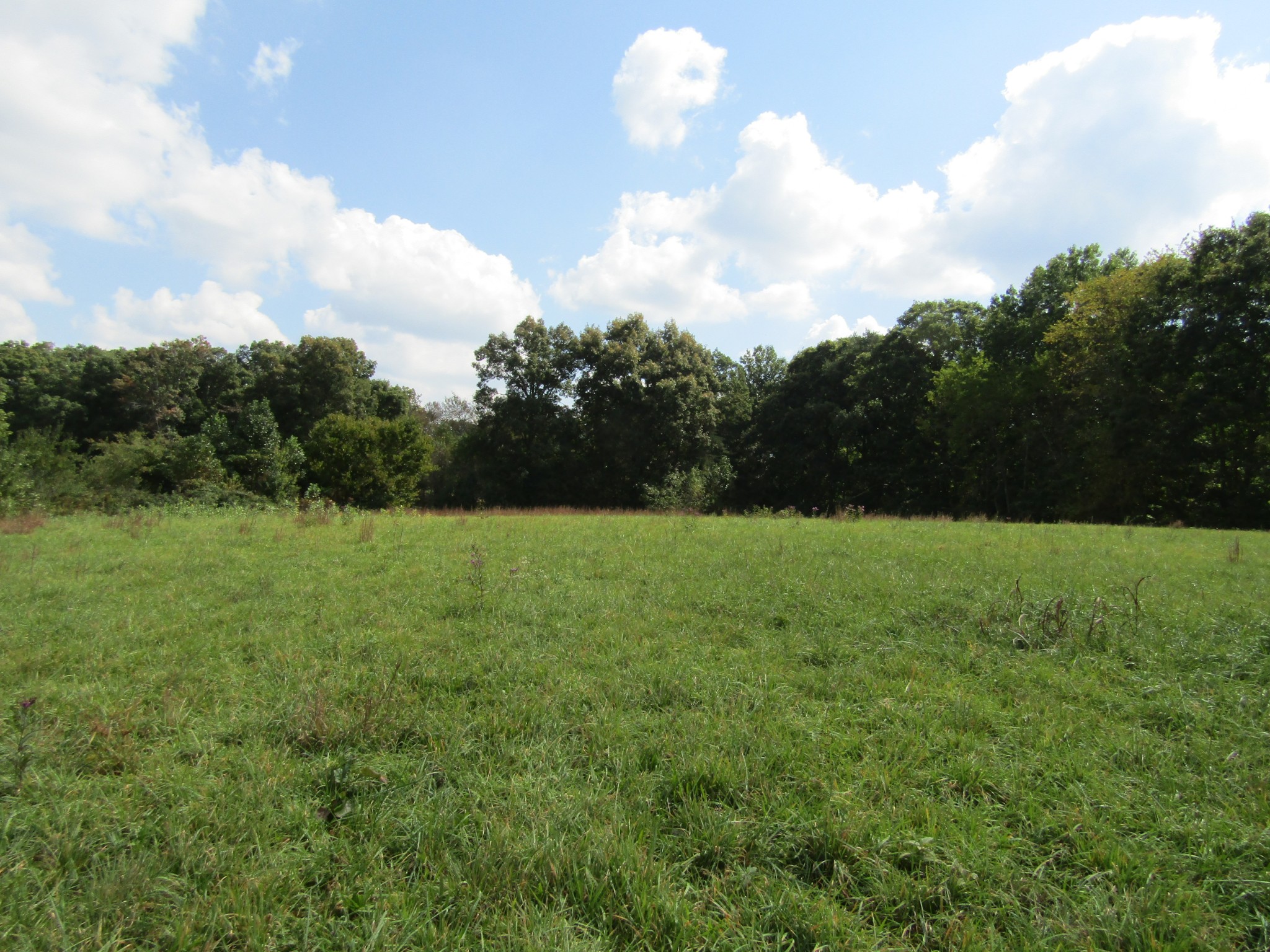 3 9 Hack Beaty Road Grimsley, TN 38565 - Photo 14 of 29