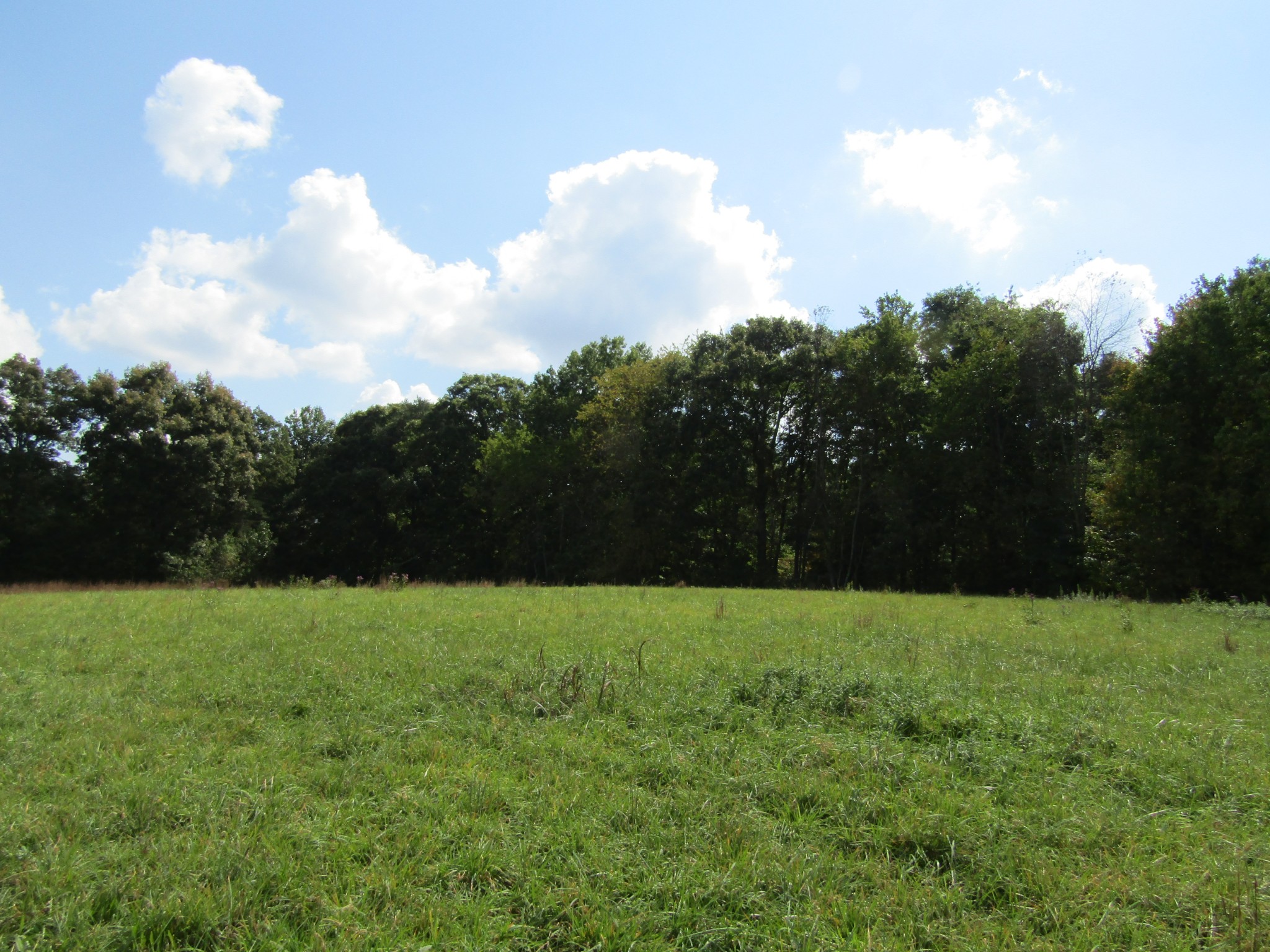 3 9 Hack Beaty Road Grimsley, TN 38565 - Photo 15 of 29