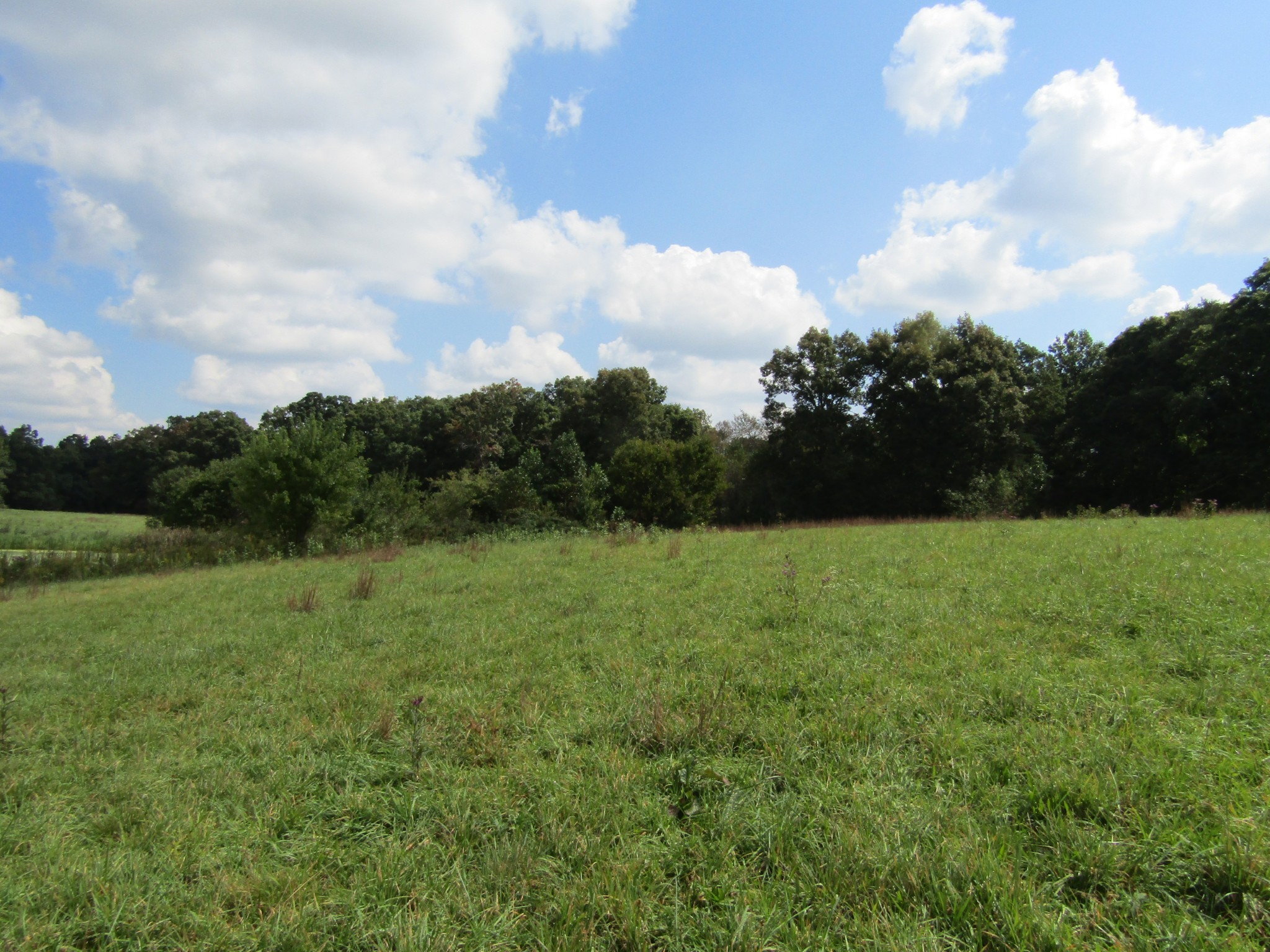 3 9 Hack Beaty Road Grimsley, TN 38565 - Photo 16 of 29