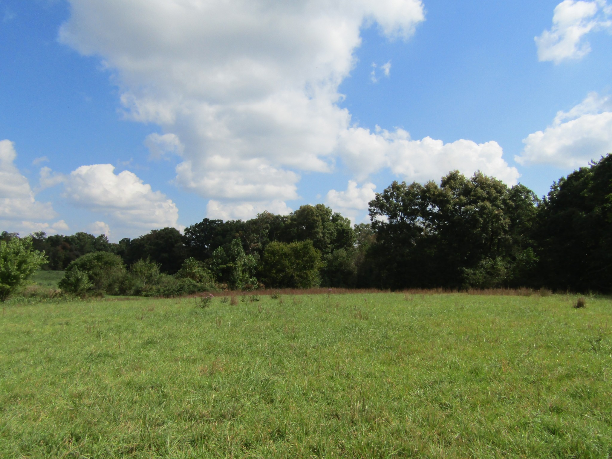 3 9 Hack Beaty Road Grimsley, TN 38565 - Photo 17 of 29