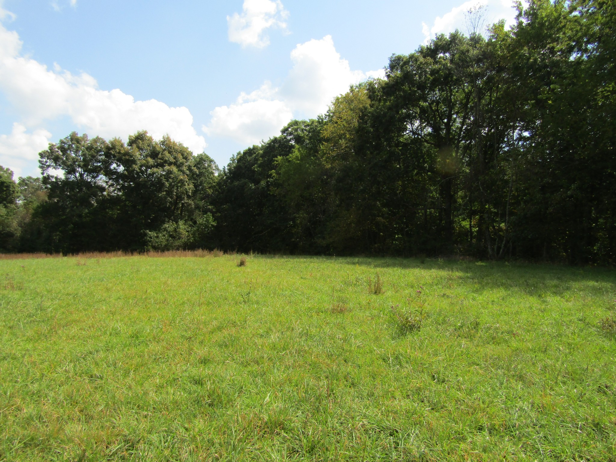 3 9 Hack Beaty Road Grimsley, TN 38565 - Photo 18 of 29