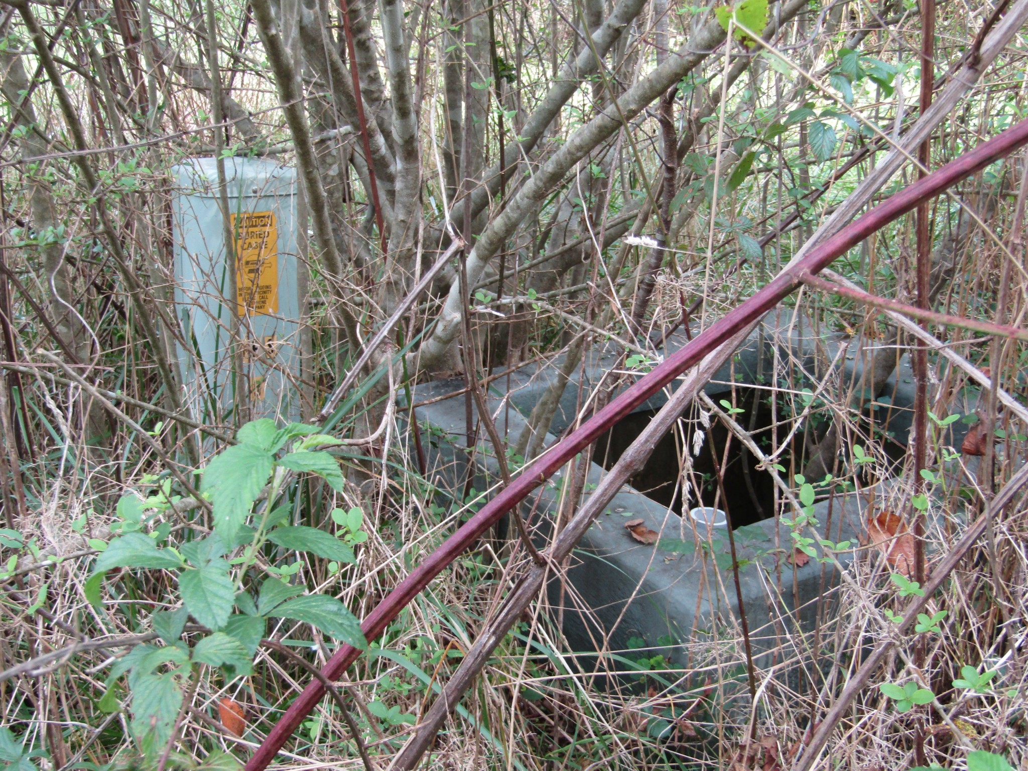 3 9 Hack Beaty Road Grimsley, TN 38565 - Photo 21 of 29