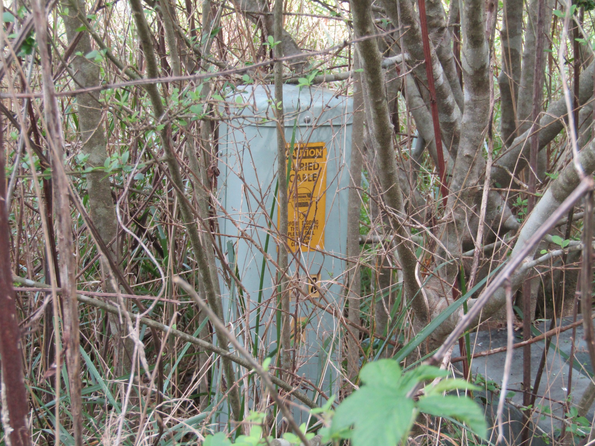 3 9 Hack Beaty Road Grimsley, TN 38565 - Photo 22 of 29