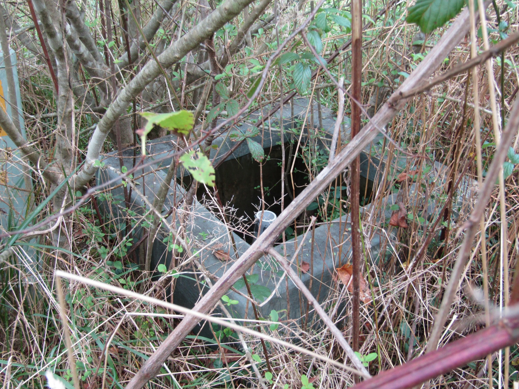 3 9 Hack Beaty Road Grimsley, TN 38565 - Photo 23 of 29