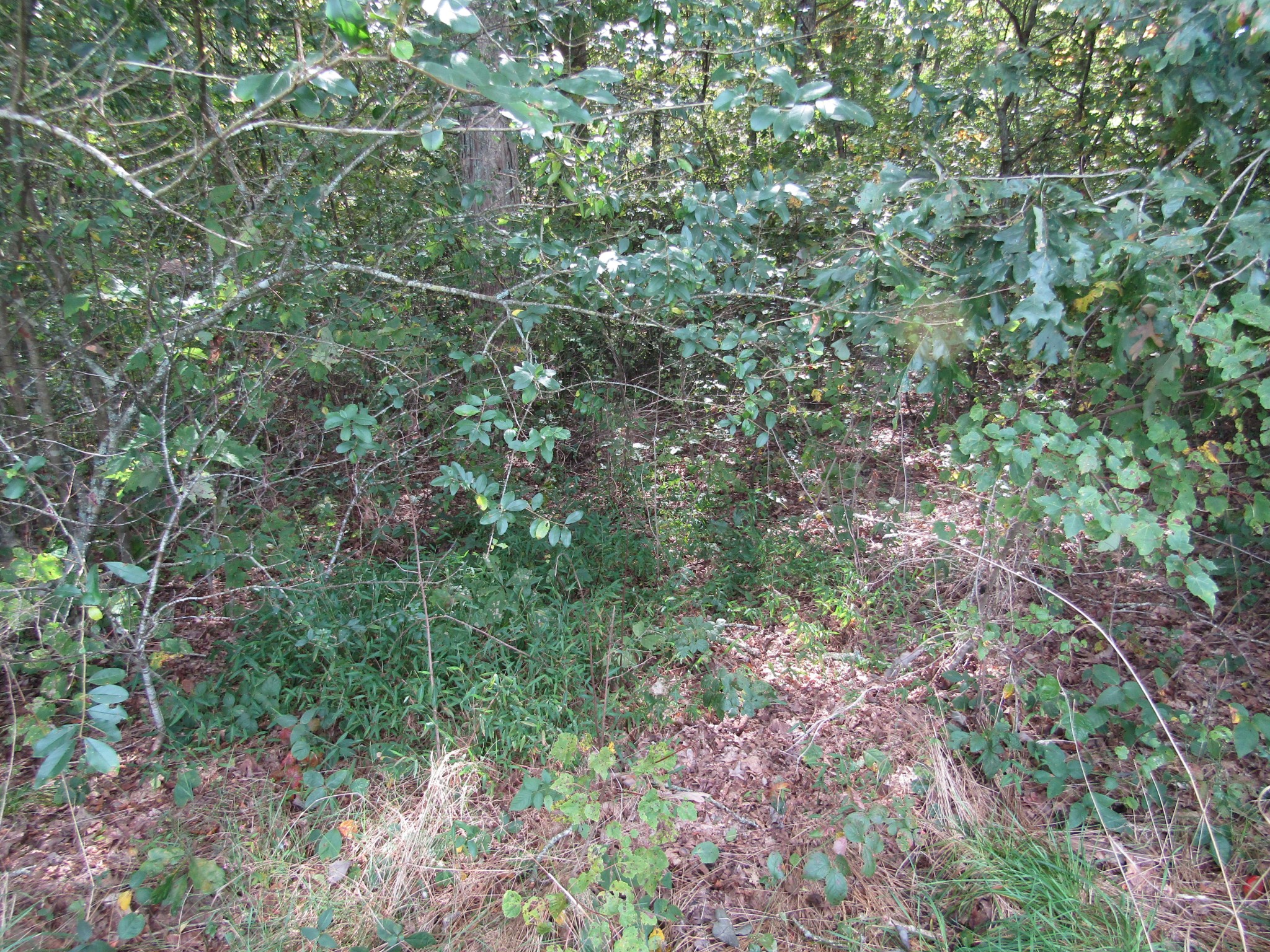 3 9 Hack Beaty Road Grimsley, TN 38565 - Photo 24 of 29