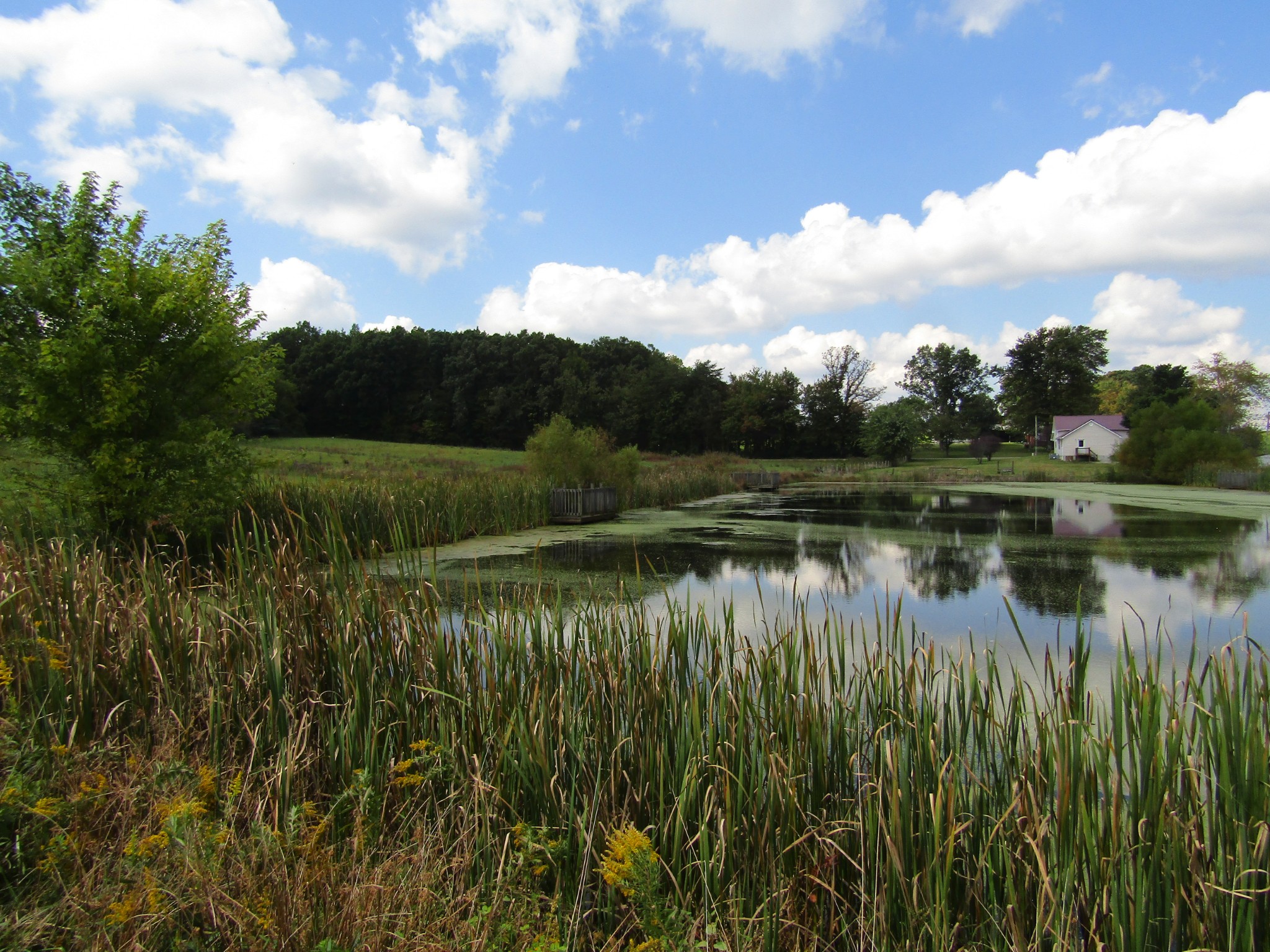 3 9 Hack Beaty Road Grimsley, TN 38565 - Photo 25 of 29