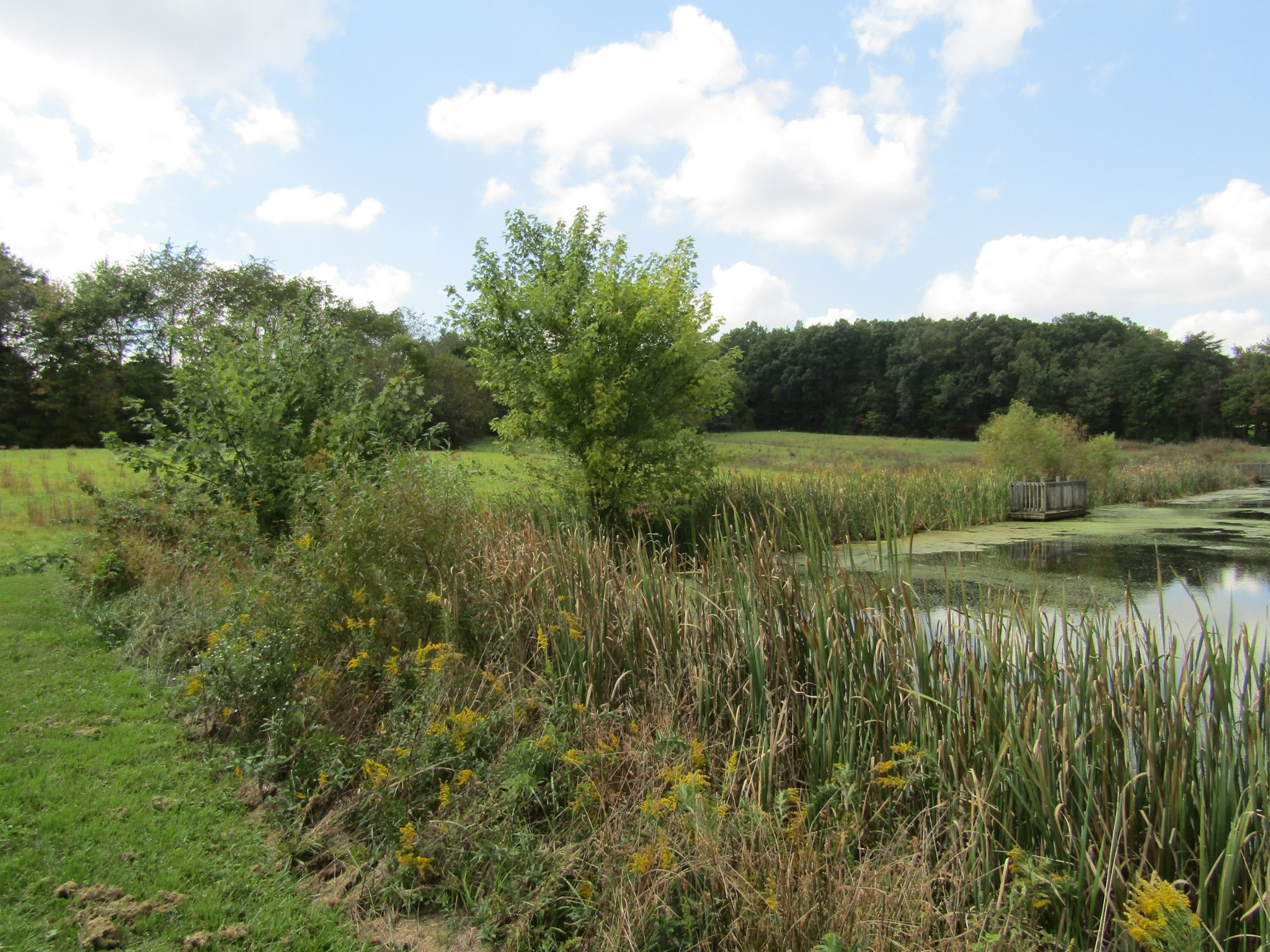 3 9 Hack Beaty Road Grimsley, TN 38565 - Photo 26 of 29