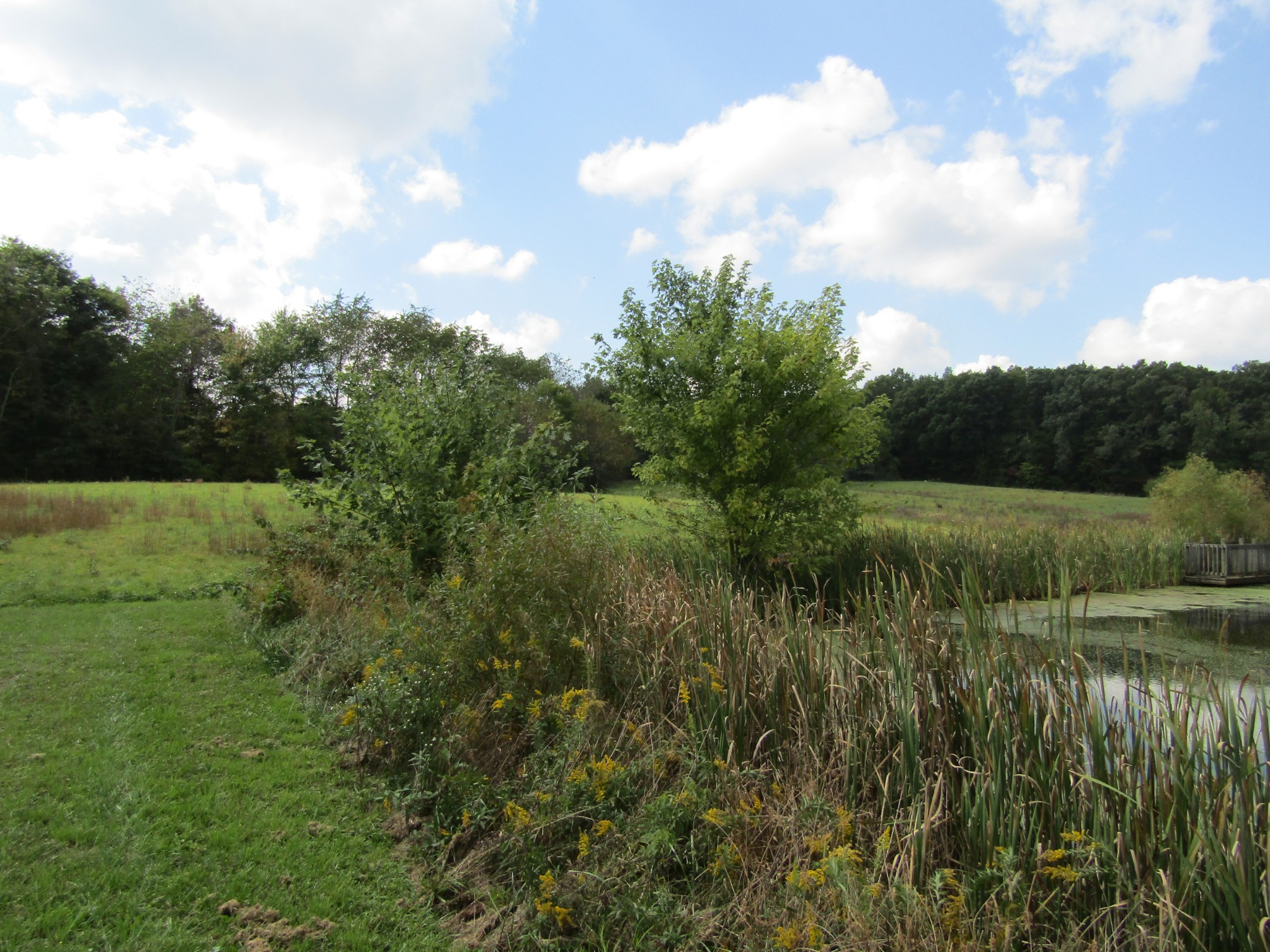 3 9 Hack Beaty Road Grimsley, TN 38565 - Photo 27 of 29