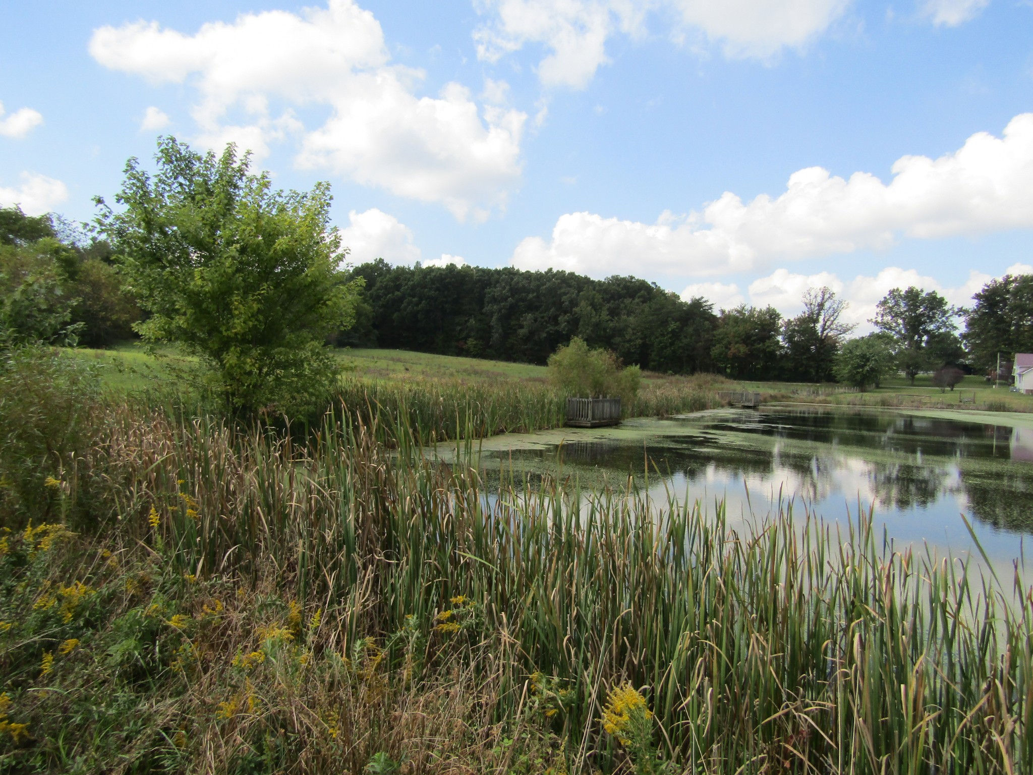 3 9 Hack Beaty Road Grimsley, TN 38565 - Photo 28 of 29