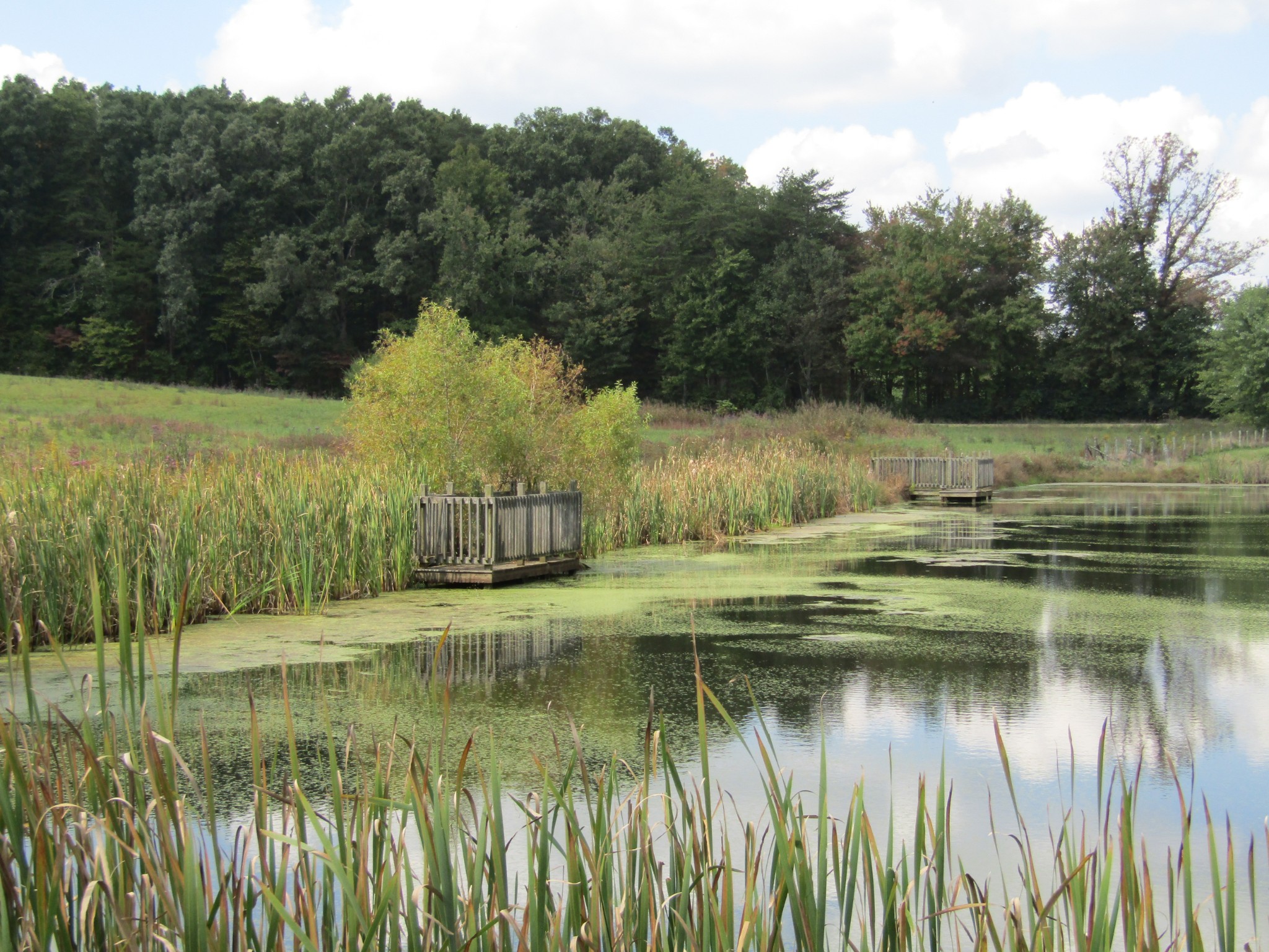 3 9 Hack Beaty Road Grimsley, TN 38565 - Photo 29 of 29