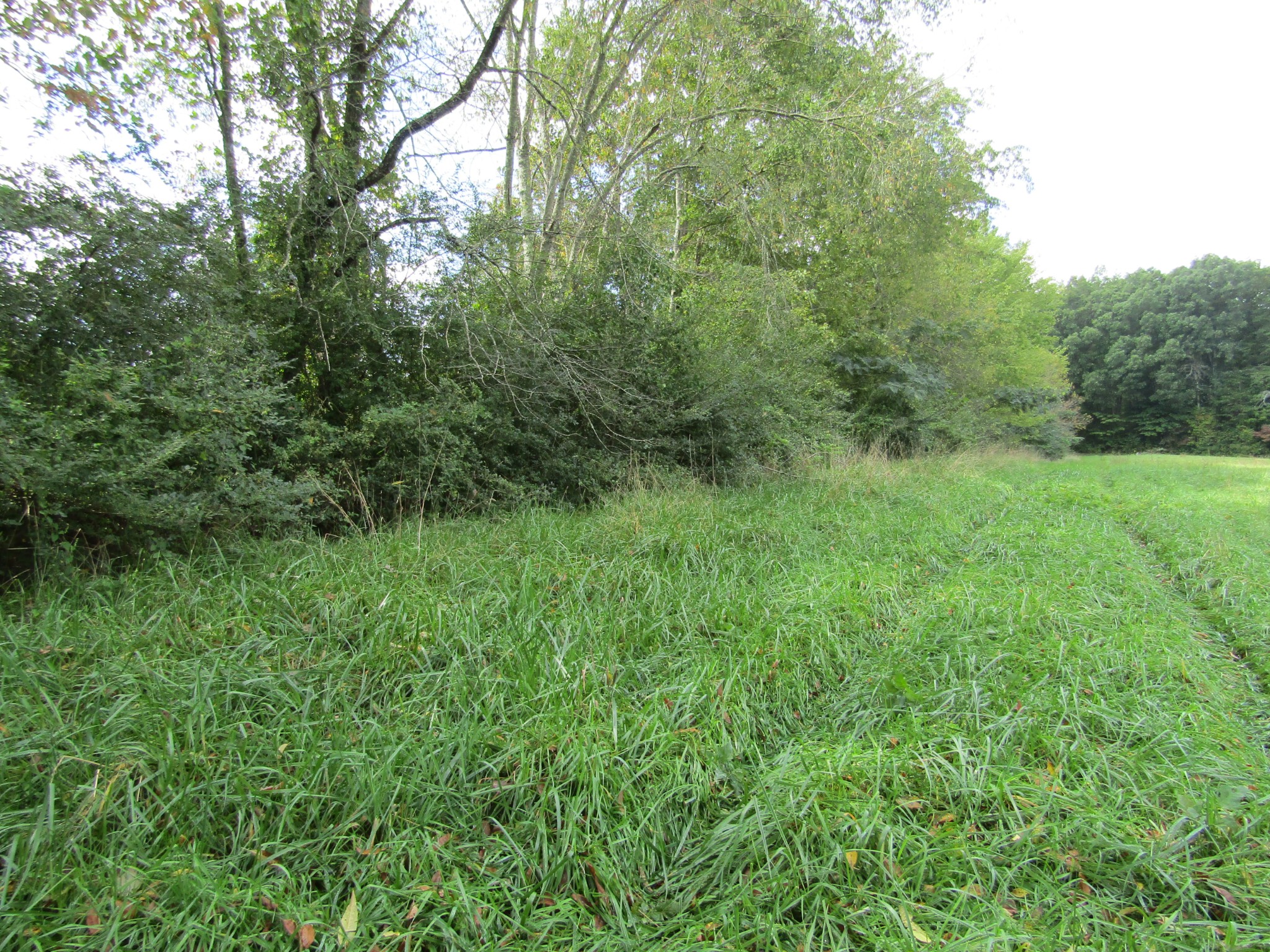 3 9 Hack Beaty Road Grimsley, TN 38565 - Photo 3 of 29