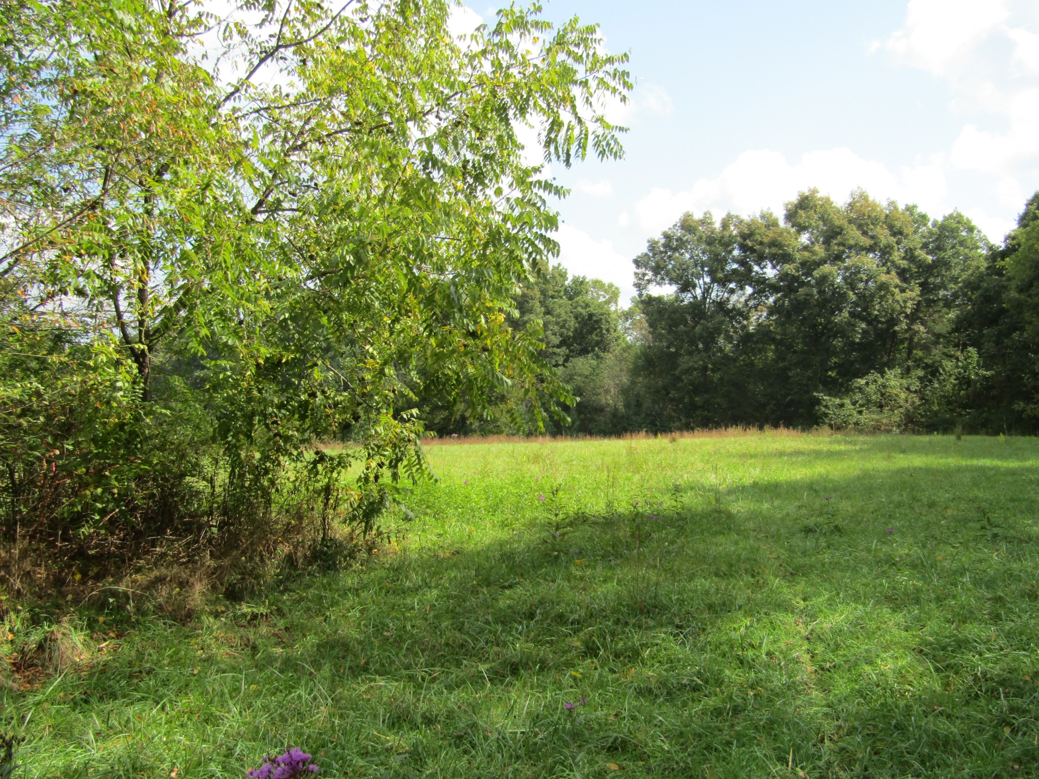 3 9 Hack Beaty Road Grimsley, TN 38565 - Photo 5 of 29