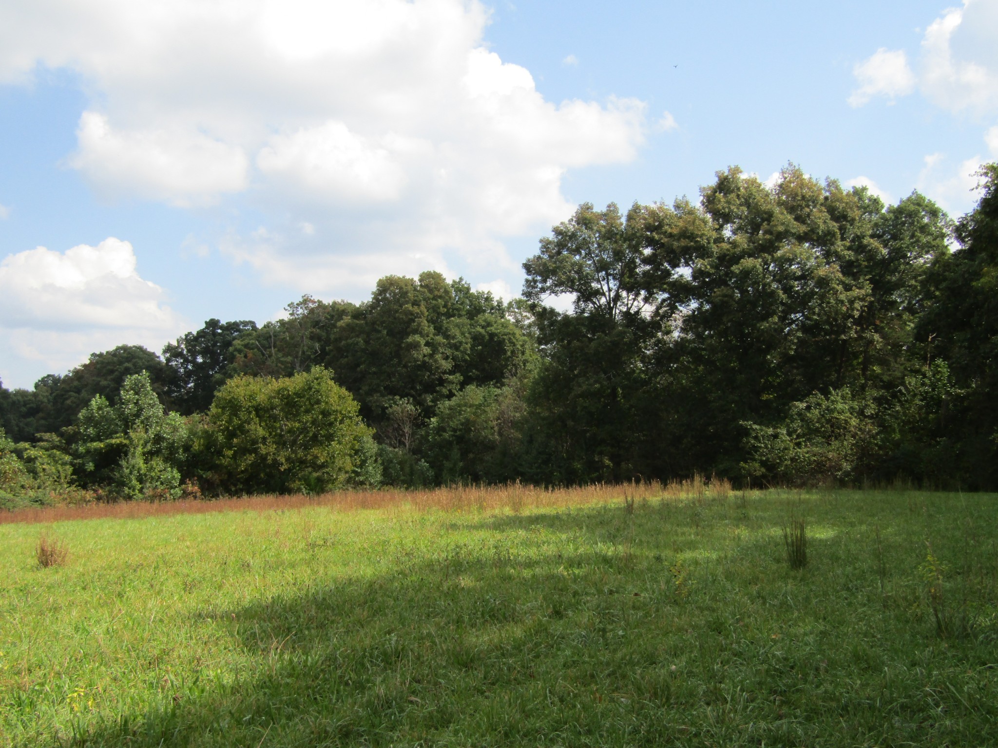 3 9 Hack Beaty Road Grimsley, TN 38565 - Photo 6 of 29