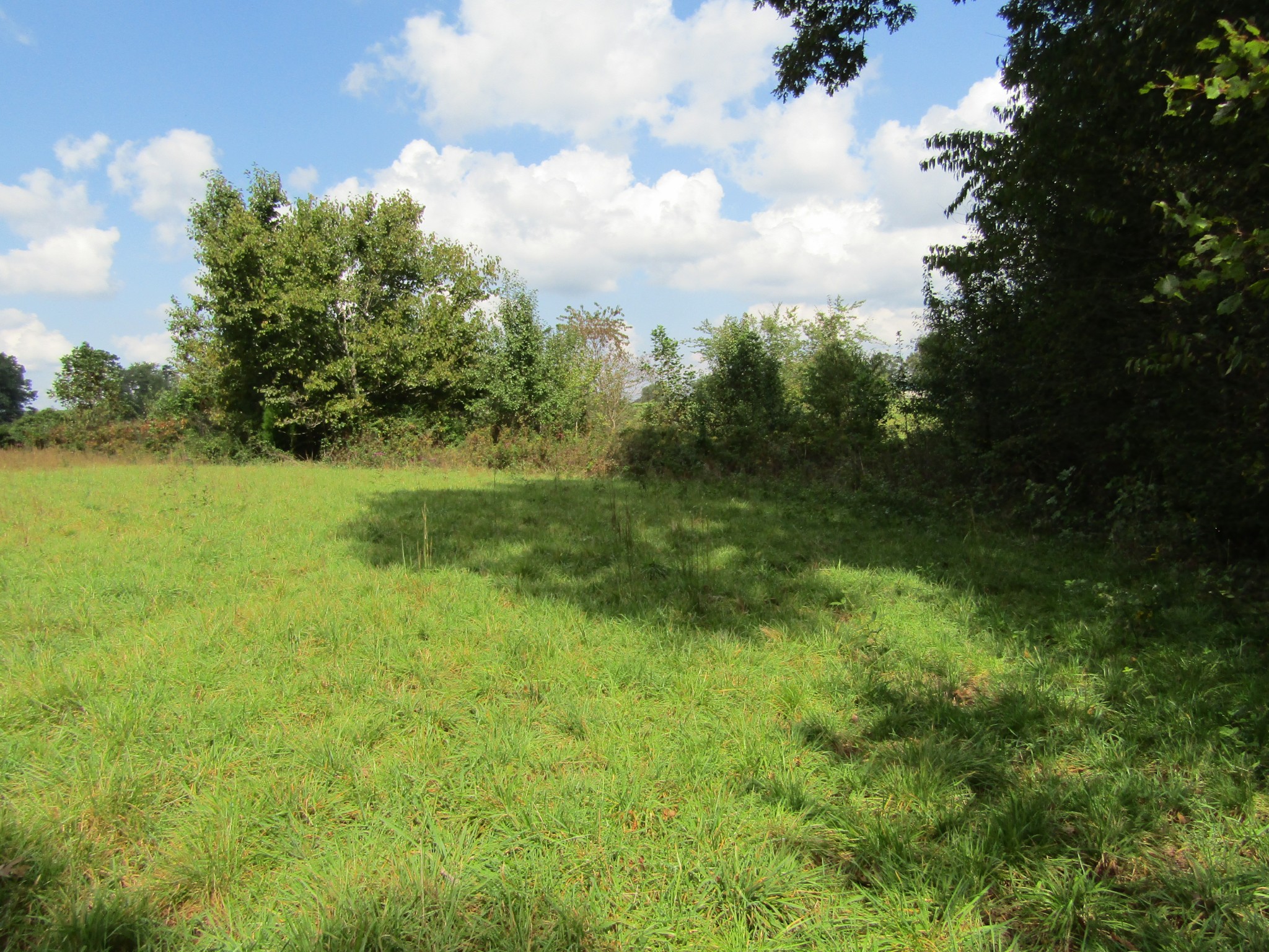 3 9 Hack Beaty Road Grimsley, TN 38565 - Photo 9 of 29