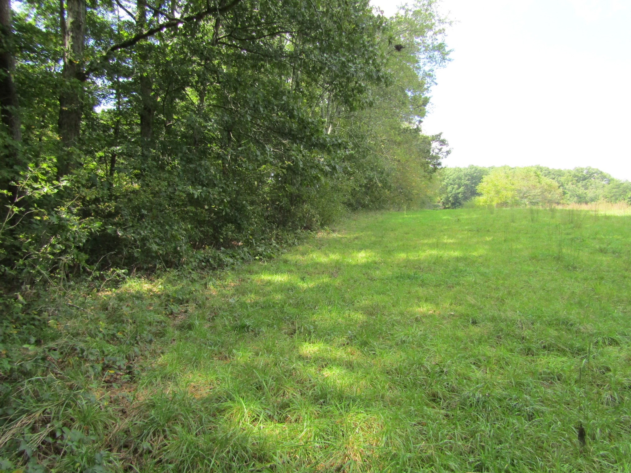 3 9 Hack Beaty Road Grimsley, TN 38565 - Photo 10 of 29