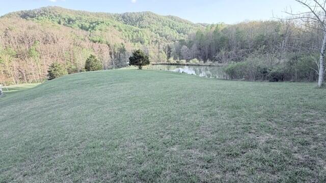 2463 Willow Bend Road Lindside, WV 24951 - Photo 73 of 75 Gallery Image 73