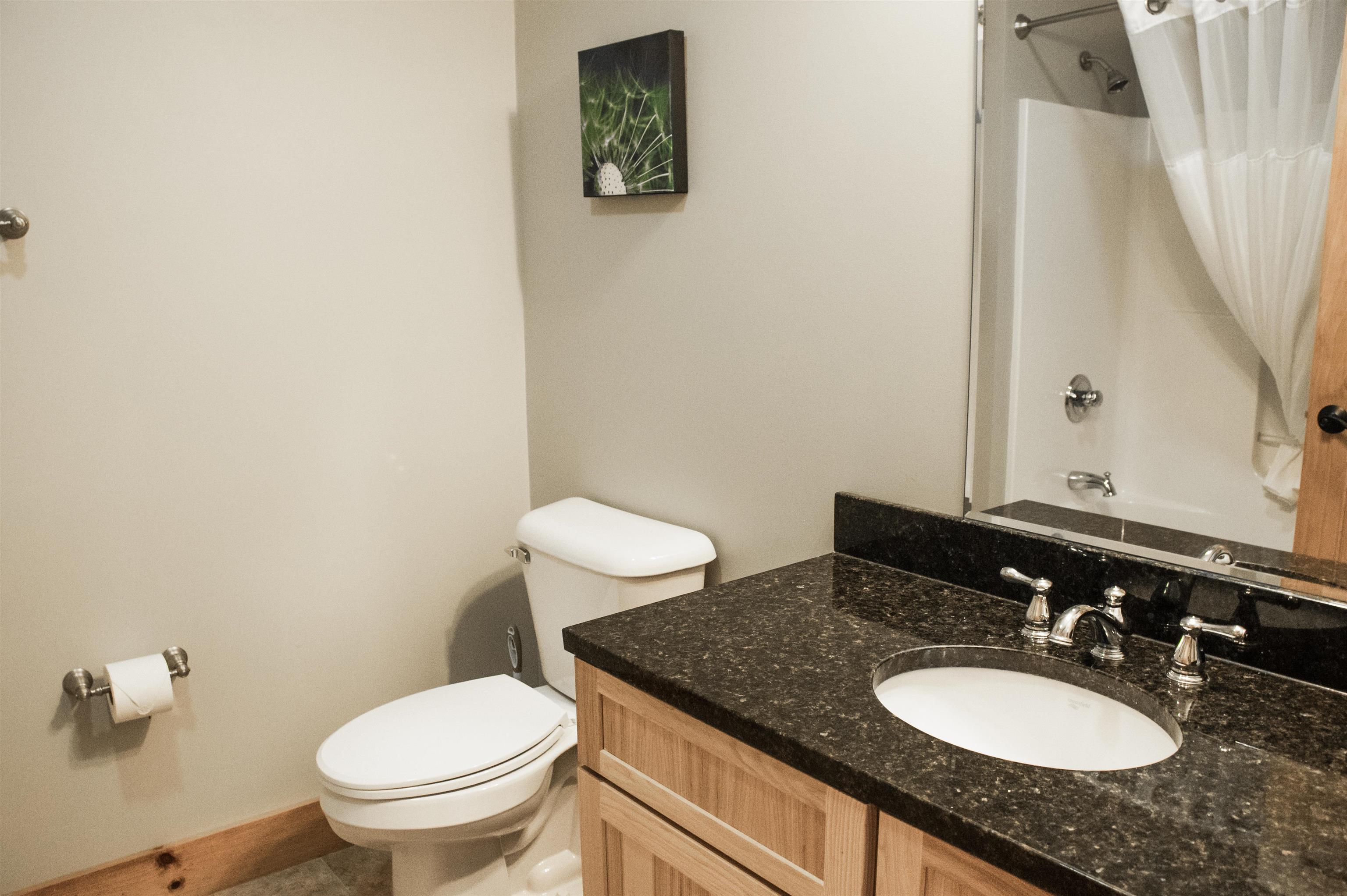 356 Bridge Road, Unit 4758 Jay, VT 05859 - Photo 3 of 11