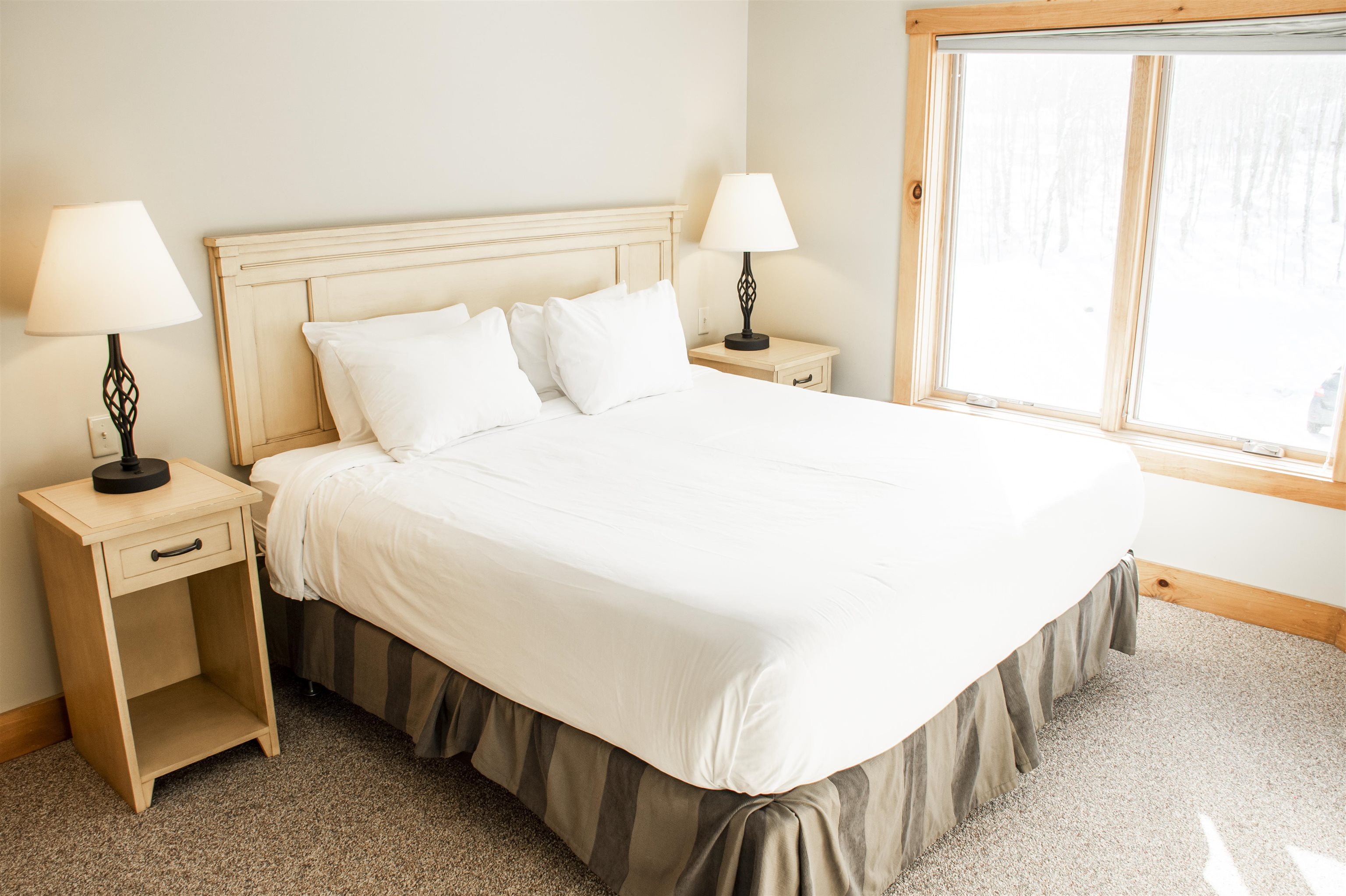 356 Bridge Road, Unit 4758 Jay, VT 05859 - Photo 9 of 11