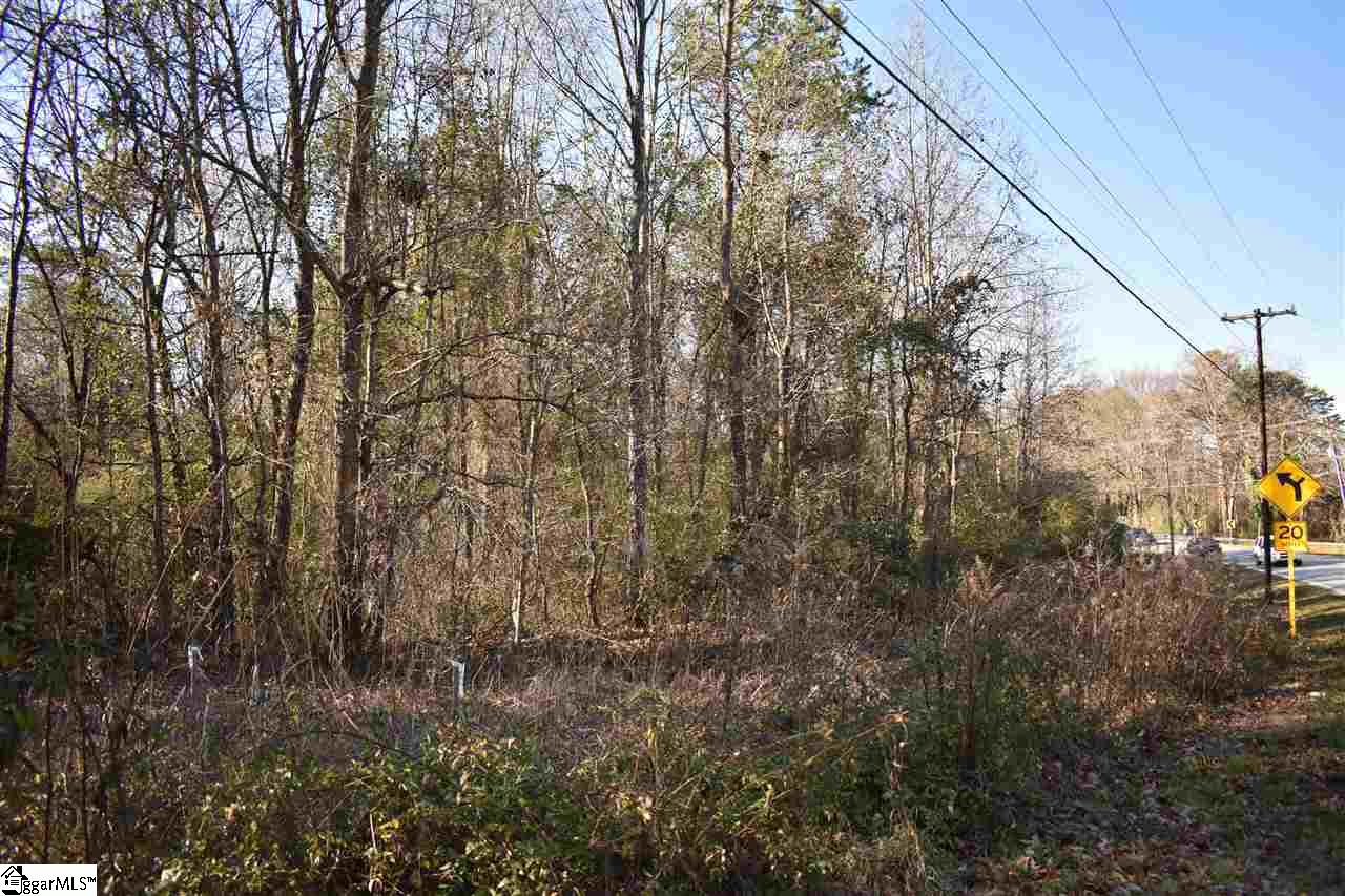 0 Roper Mt Road Greenville, SC 29615 - Photo 3 of 5