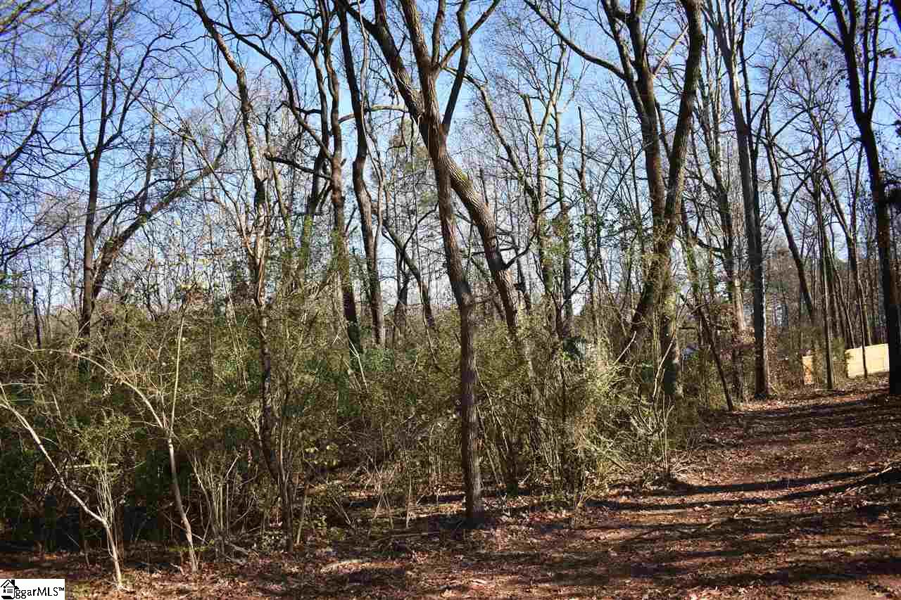 0 Roper Mt Road Greenville, SC 29615 - Photo 5 of 5