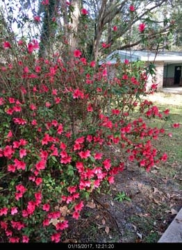 3247 Robinhood Road Tallahassee, FL 32312 - Photo 2 of 8 Gallery Image 2