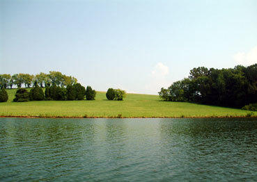 190 Thunder Road Vonore, TN 37885 - Photo 4 of 13 lake