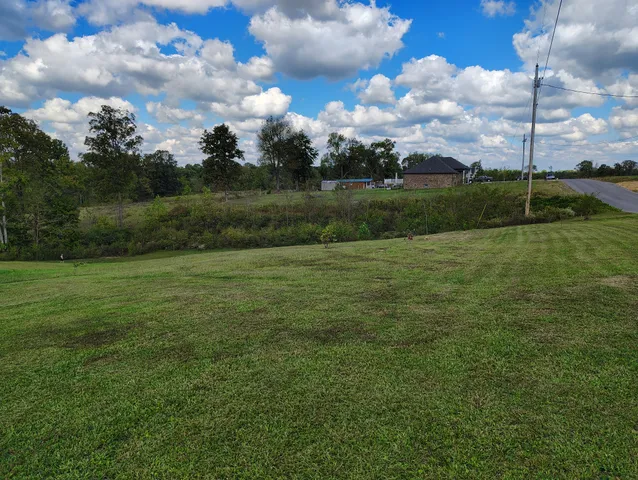 a view of a green field