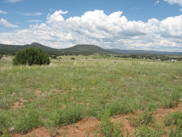 491 Elk Ridge Road, Unit 1 Young, AZ 85554 - Photo 1 of 12 from knoll