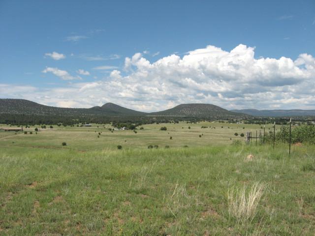 491 Elk Ridge Road, Unit 1 Young, AZ 85554 - Photo 3 of 12 looking across lot