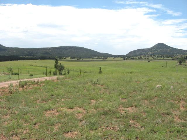 491 Elk Ridge Road, Unit 1 Young, AZ 85554 - Photo 5 of 12 view from knoll
