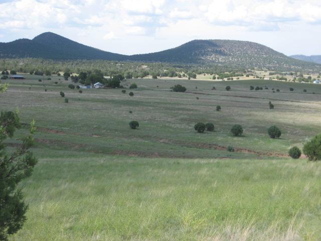 491 Elk Ridge Road, Unit 1 Young, AZ 85554 - Photo 8 of 12 view from bldg site