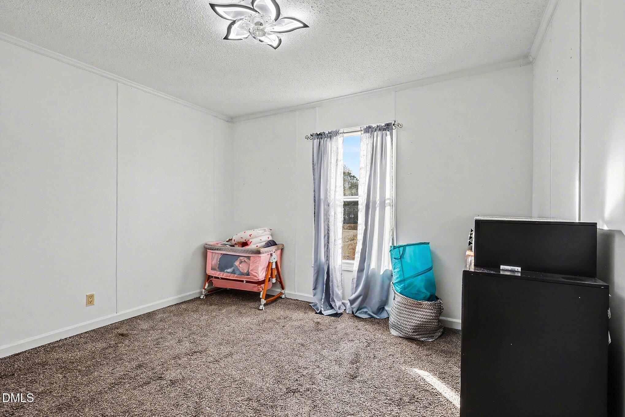 375 Camelia Road Benson, NC 27504 - Photo 19 of 32 031_file_4639