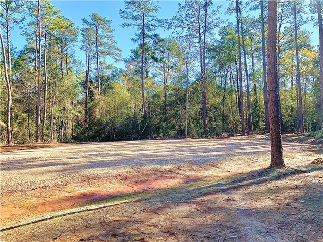 19576 Southern Pine Street Covington, LA 70435 - Photo 6 of 6