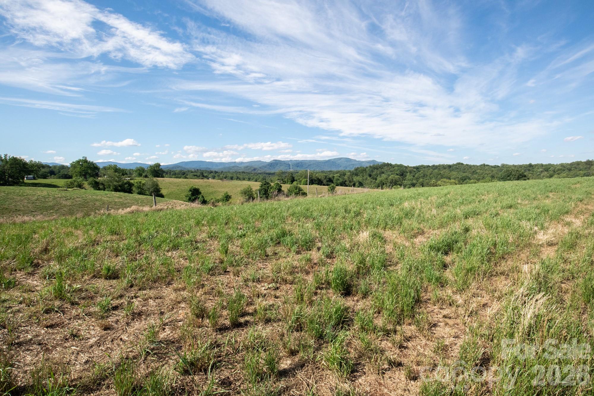 1779 Roundhill Church Road Traphill, NC 28685 - Photo 14 of 42