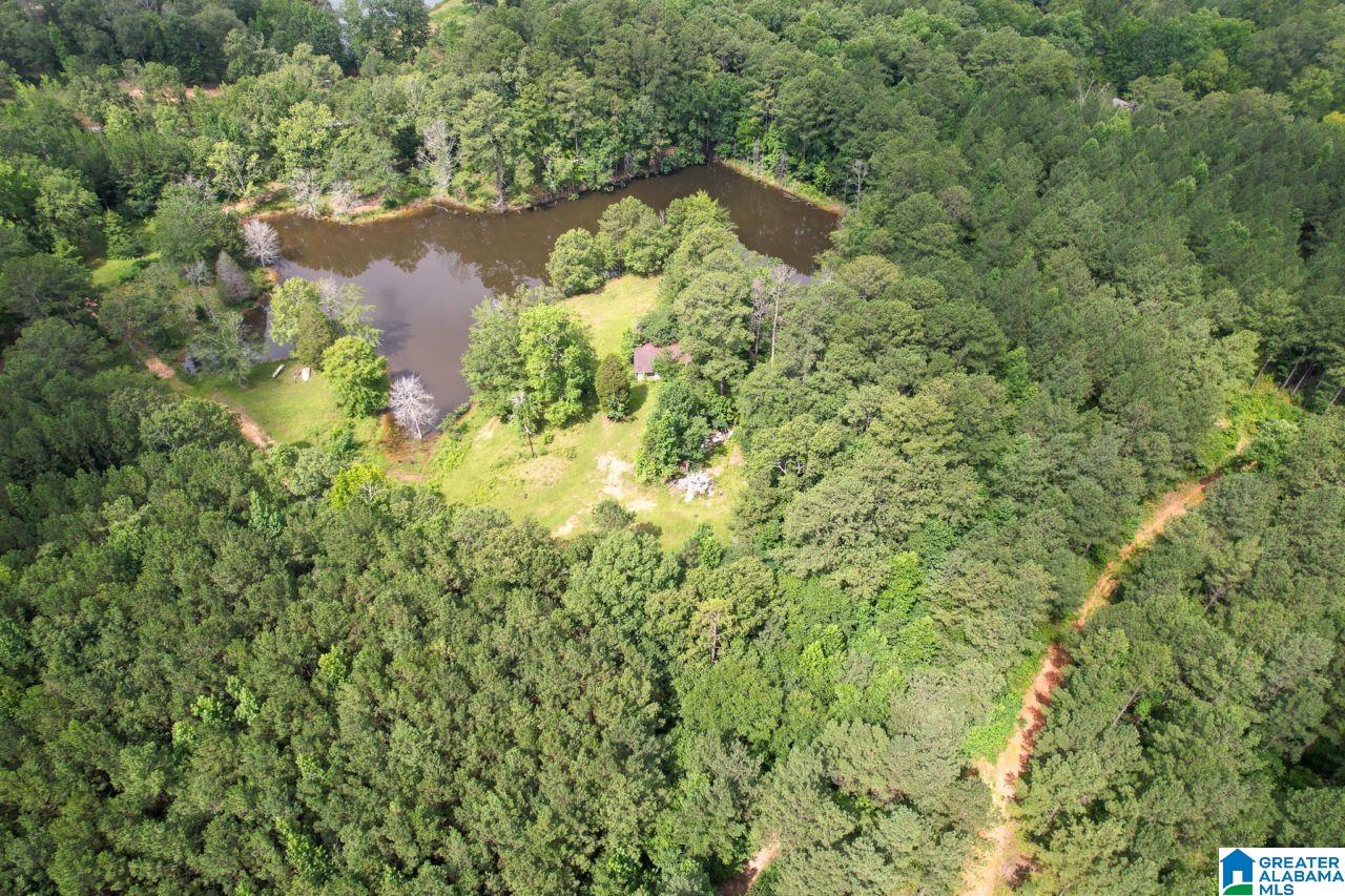 9 Acres, Unit 9 Sterrett, AL 35147 - Photo 1 of 8