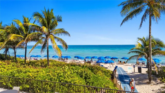 a view of an ocean and a palm tree