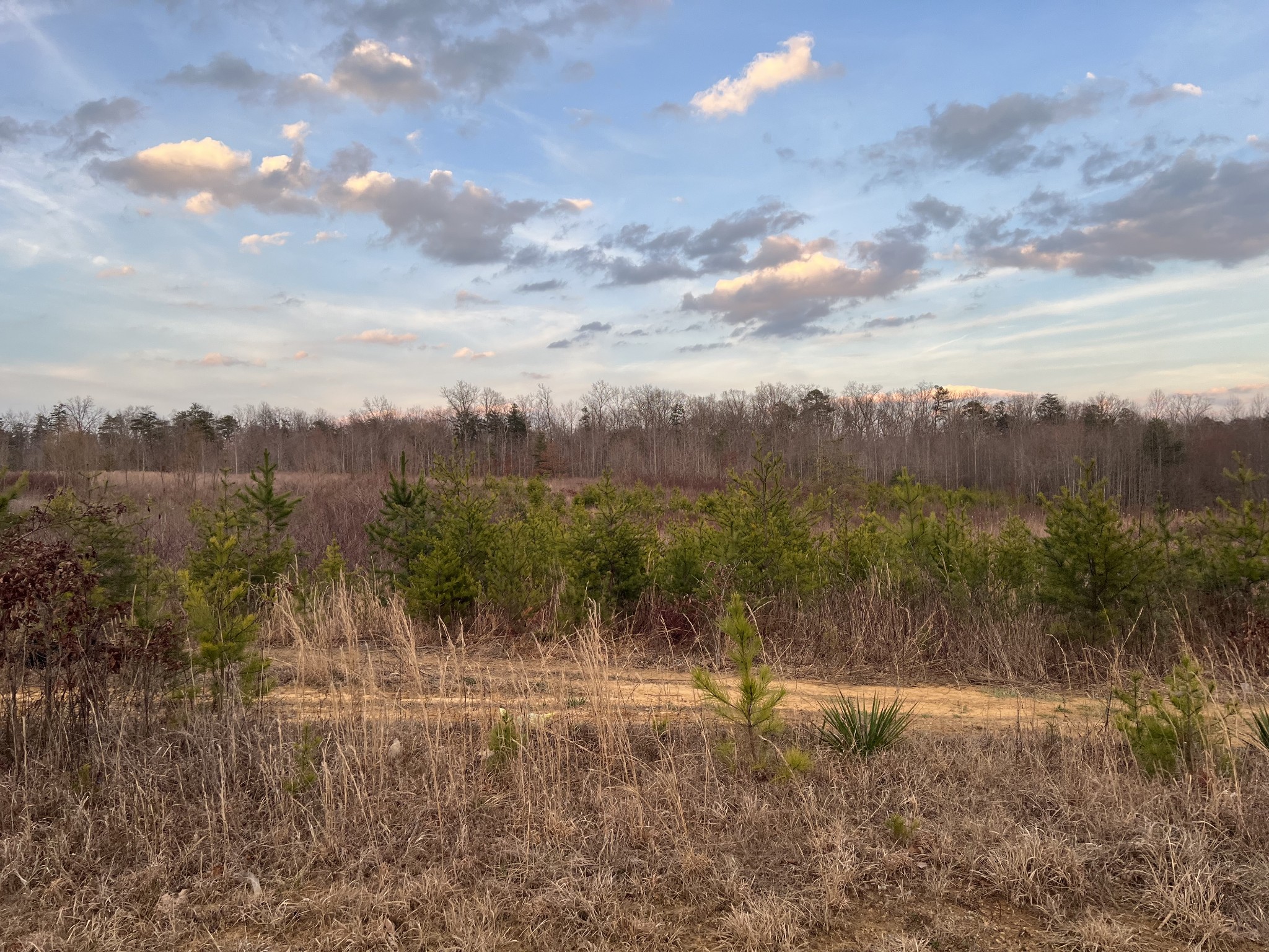 1040 Main Street Altamont, TN 37301 - Photo 4 of 5