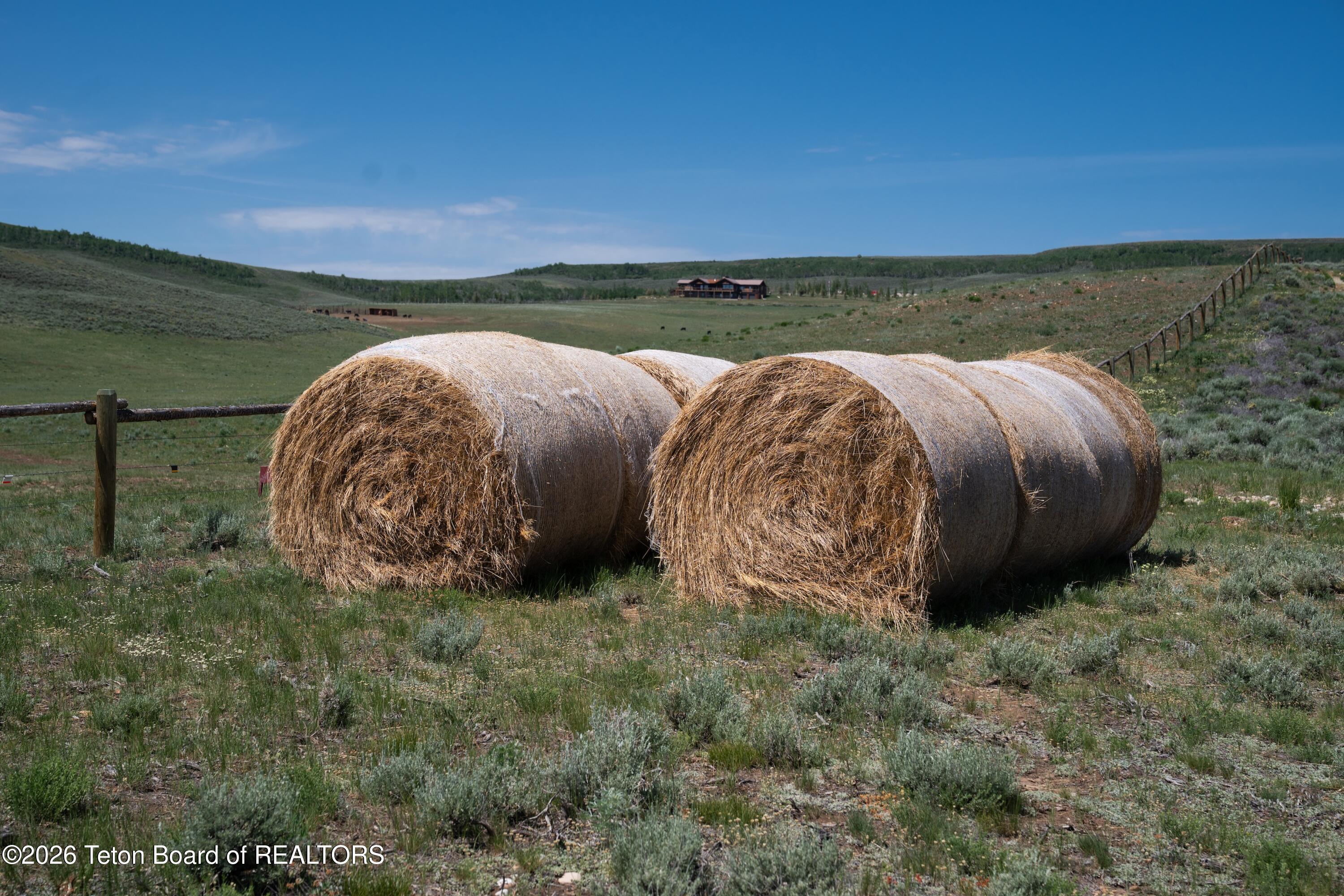 627 Ryegrass Road Daniel, WY 83115 - Photo 69 of 80 Wyoming Life