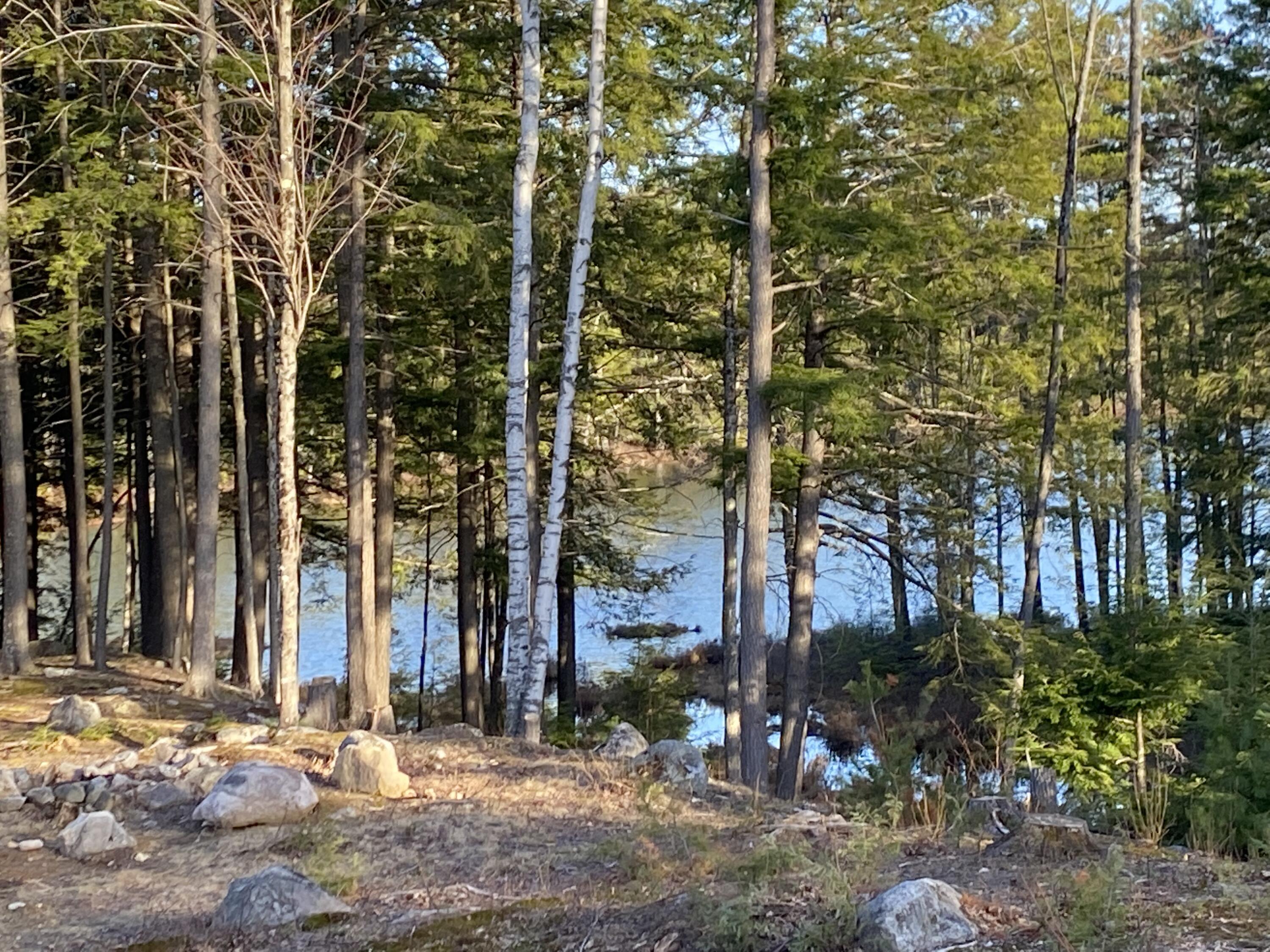 26 Homestead Hill Road Mercer, ME 04957 - Photo 6 of 31 IMG_3733