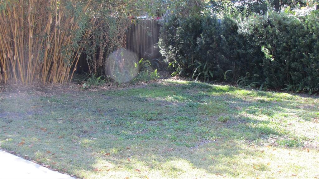 3326 Schefflera Road Tampa, FL 33618 - Photo 19 of 19 Gallery Image 19