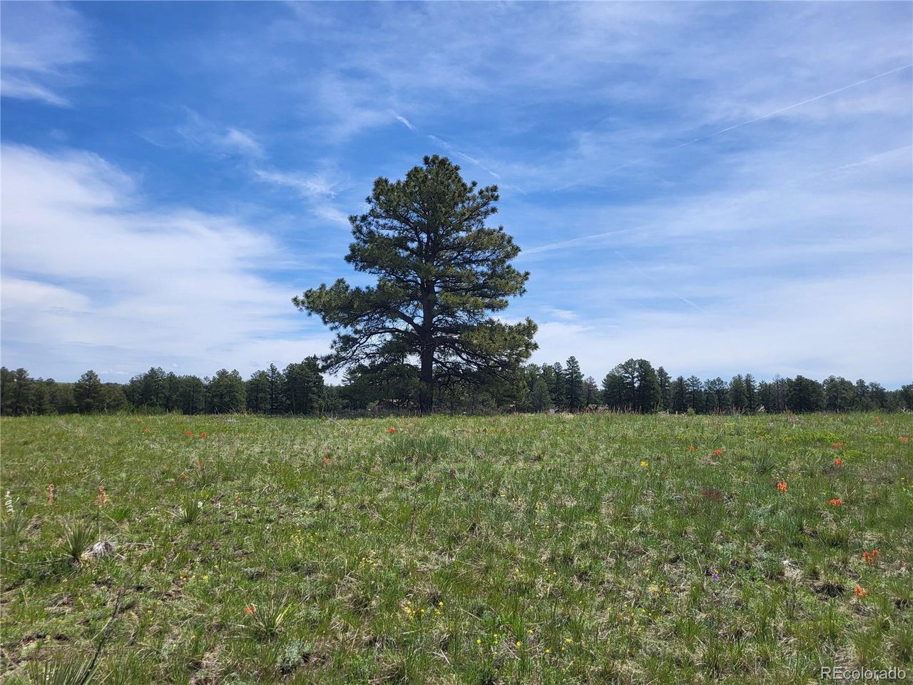 21 Rd Elizabeth Co 80107 Elizabeth, CO 80107 - Photo 11 of 40 Gallery Image 11