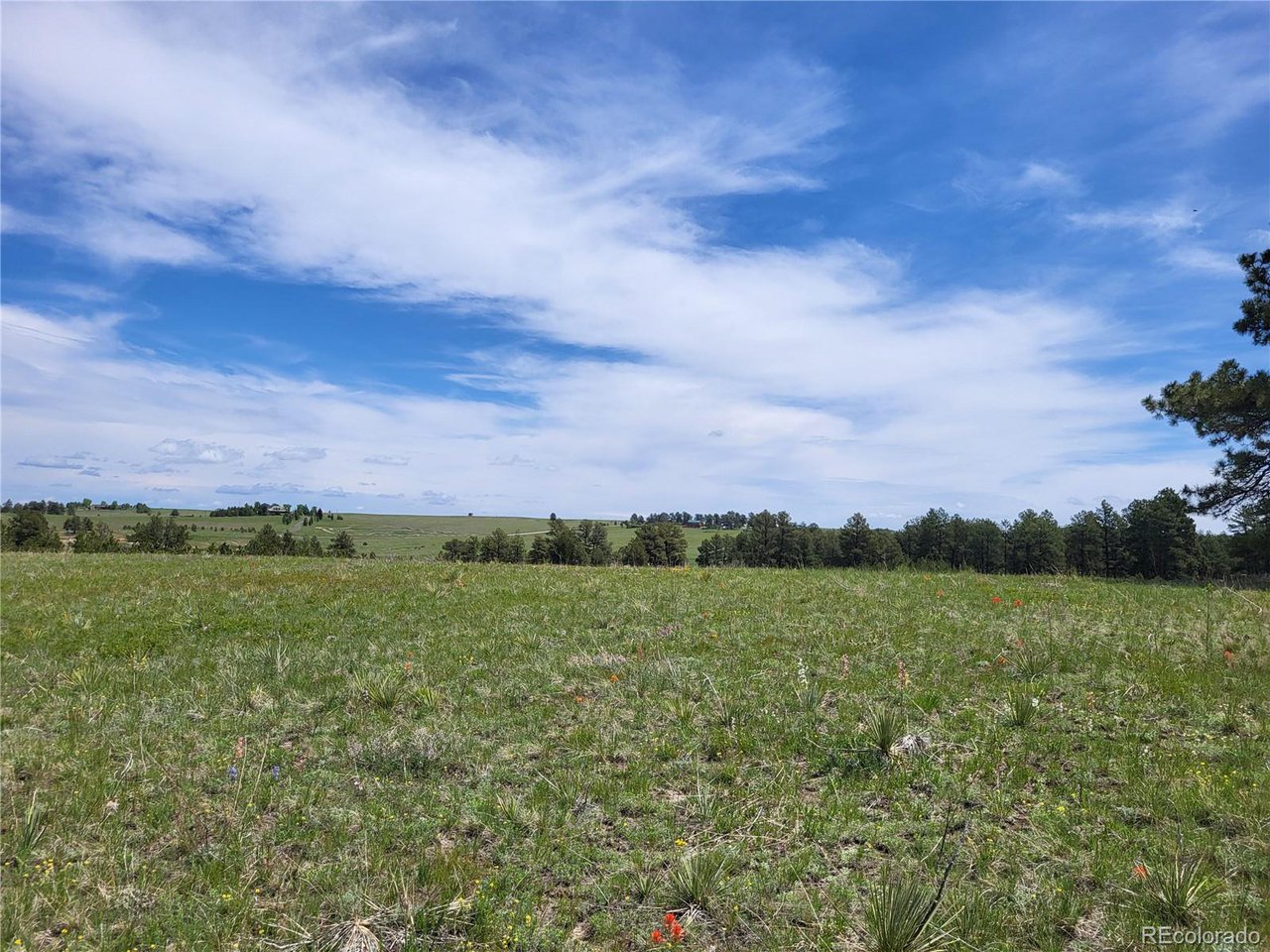 21 Rd Elizabeth Co 80107 Elizabeth, CO 80107 - Photo 12 of 40 Gallery Image 12
