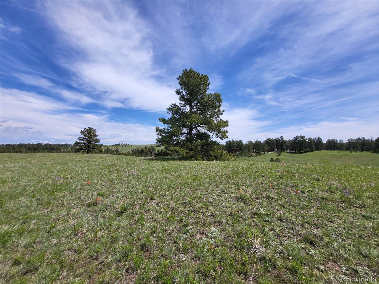 21 Rd Elizabeth Co 80107 Elizabeth, CO 80107 - Photo 15 of 40 Gallery Image 15