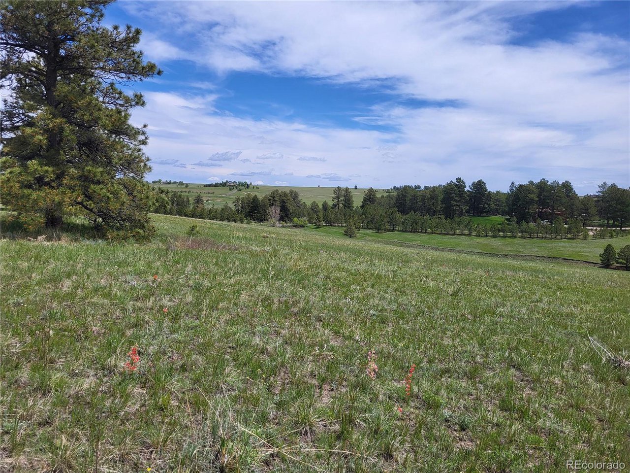 21 Rd Elizabeth Co 80107 Elizabeth, CO 80107 - Photo 19 of 40 Gallery Image 19