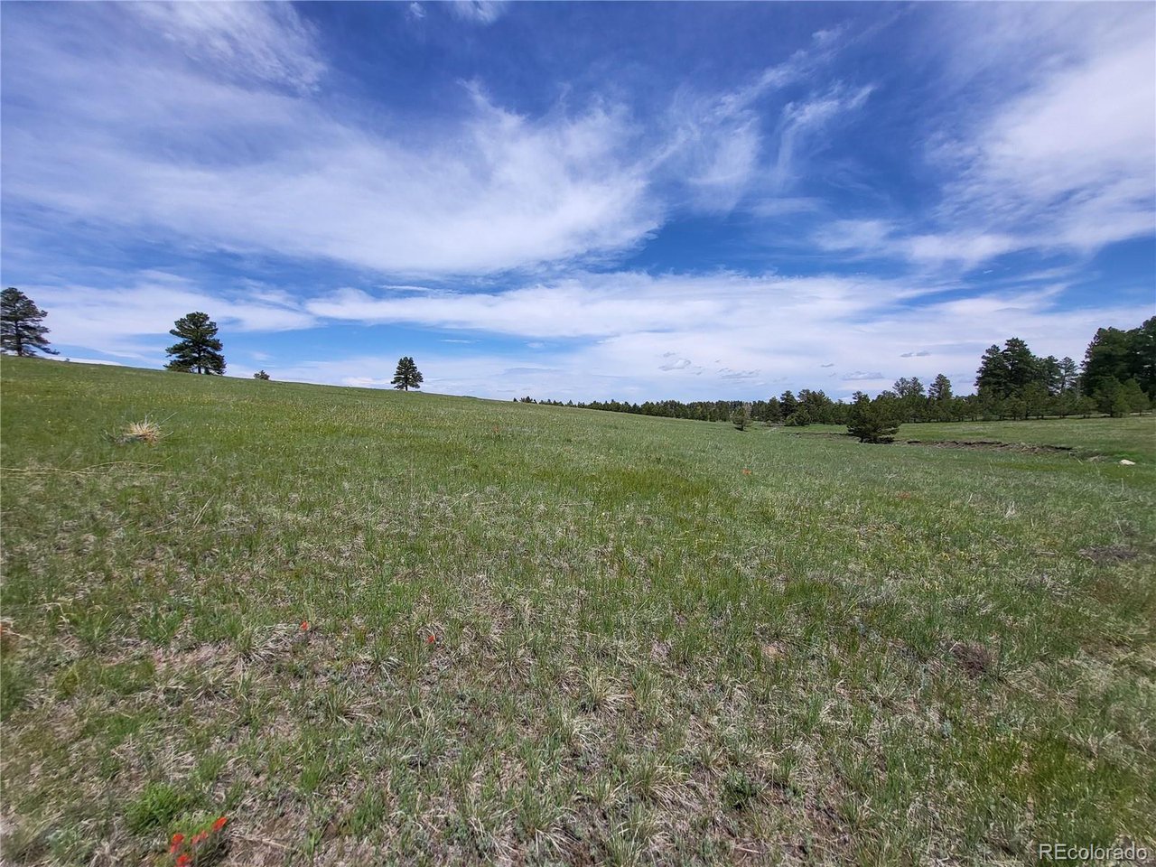 21 Rd Elizabeth Co 80107 Elizabeth, CO 80107 - Photo 22 of 40 Gallery Image 22