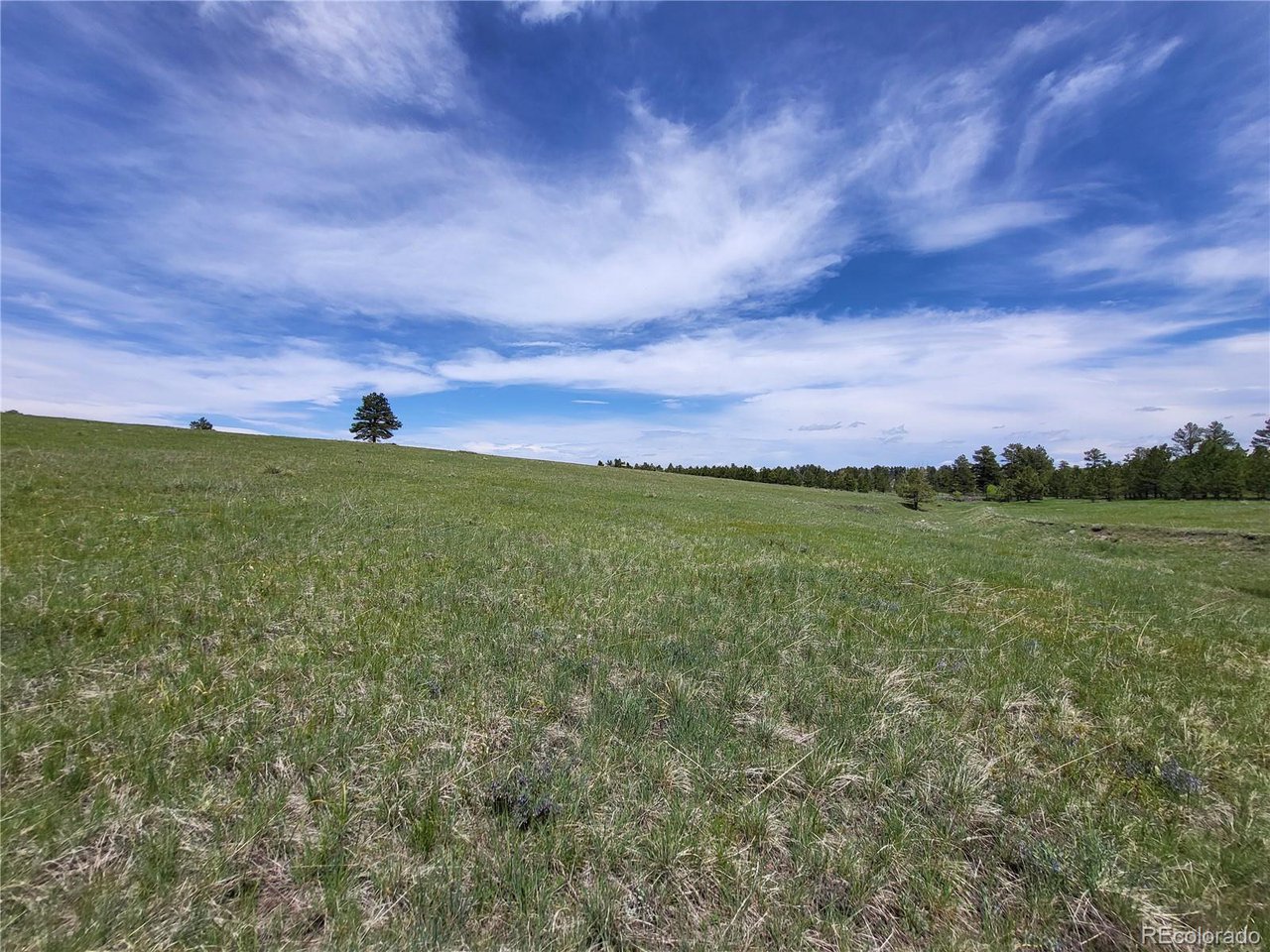 21 Rd Elizabeth Co 80107 Elizabeth, CO 80107 - Photo 25 of 40 Gallery Image 25