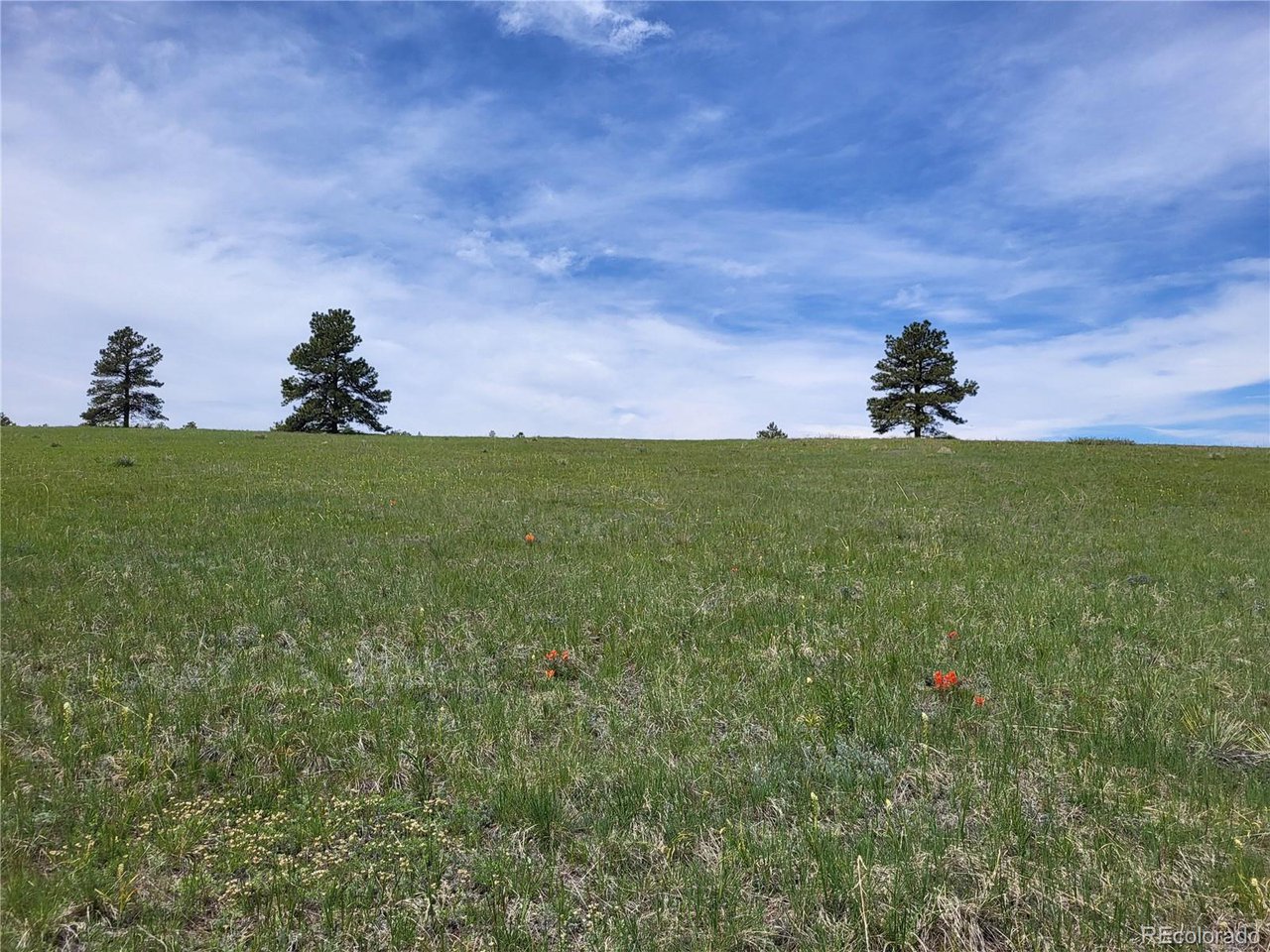 21 Rd Elizabeth Co 80107 Elizabeth, CO 80107 - Photo 30 of 40 Gallery Image 30