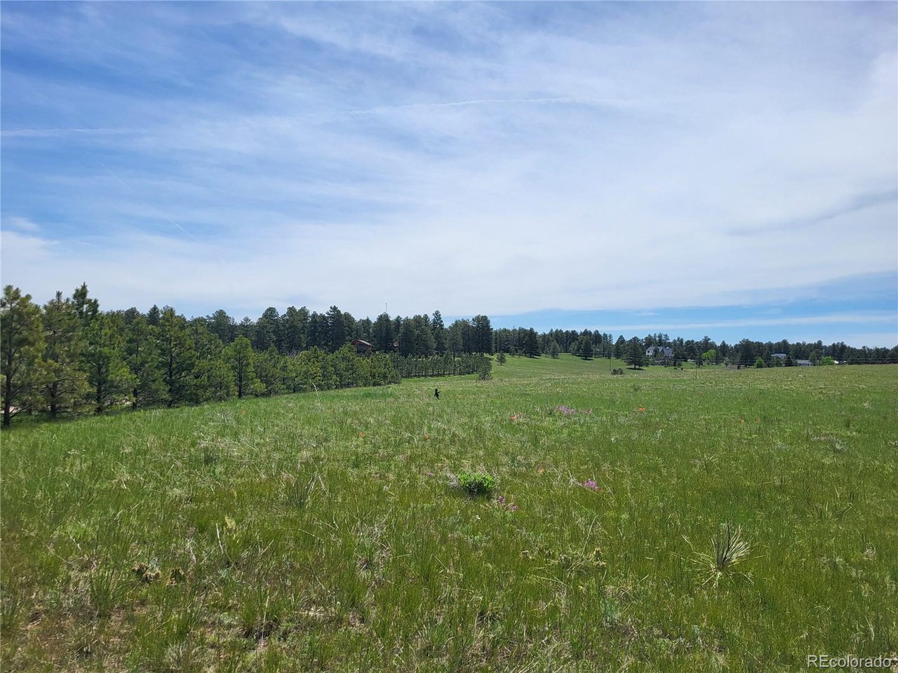 21 Rd Elizabeth Co 80107 Elizabeth, CO 80107 - Photo 3 of 40 Gallery Image 3