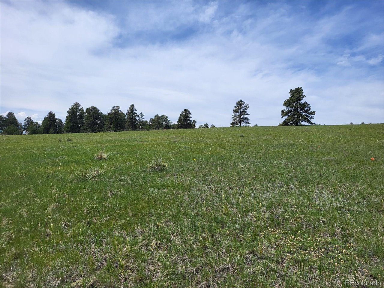 21 Rd Elizabeth Co 80107 Elizabeth, CO 80107 - Photo 31 of 40 Gallery Image 31